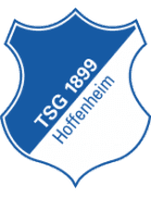 1899 Hoffenheim crest